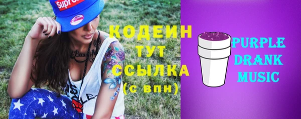бошки Пересвет